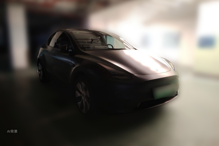 Tesla Model Y 2022 immagine di auto #4