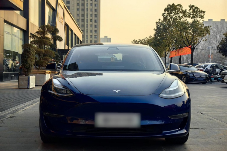 Tesla Model 3 2019 #8 Tesla Model 3 2019 car image #8