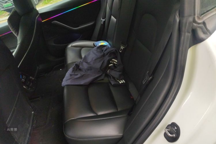 Tesla Model 3 2020 car image #19