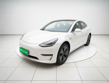 Tesla Model 3 2020 Tesla Model 3 2020 car image
