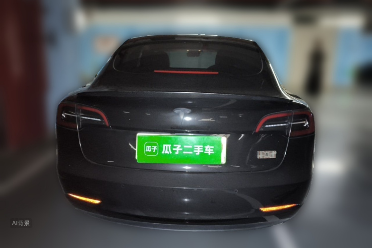 Tesla Model 3 2023 car image #6