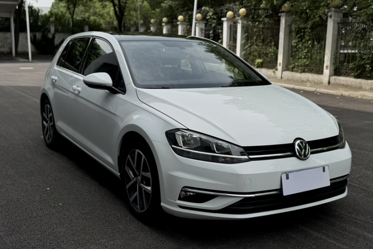 Volkswagen Golf 2019 car image #7
