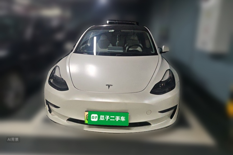 Tesla Model 3 2021 #3 Tesla Model 3 2021 car image #3