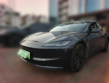 Tesla Model 3 2024 Tesla Model 3 2024 car image