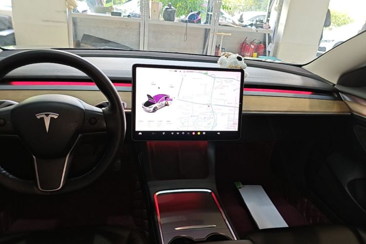 Tesla Model 3 2021 imagem de carro #23