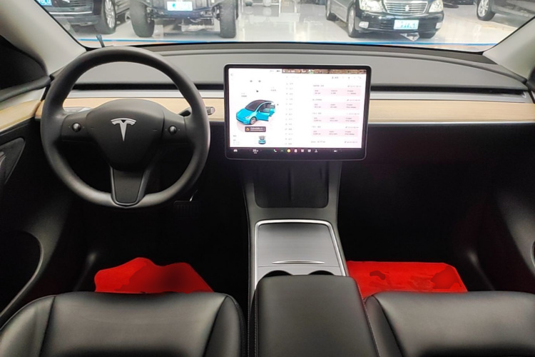 Tesla Model Y 2023 #10 Tesla Model Y 2023 car image #10