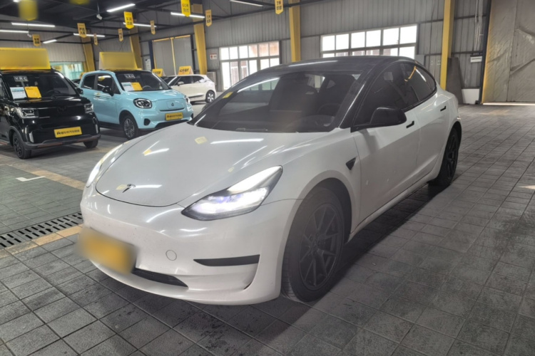 Tesla Model 3 2021 #2 Tesla Model 3 2021 car image #2
