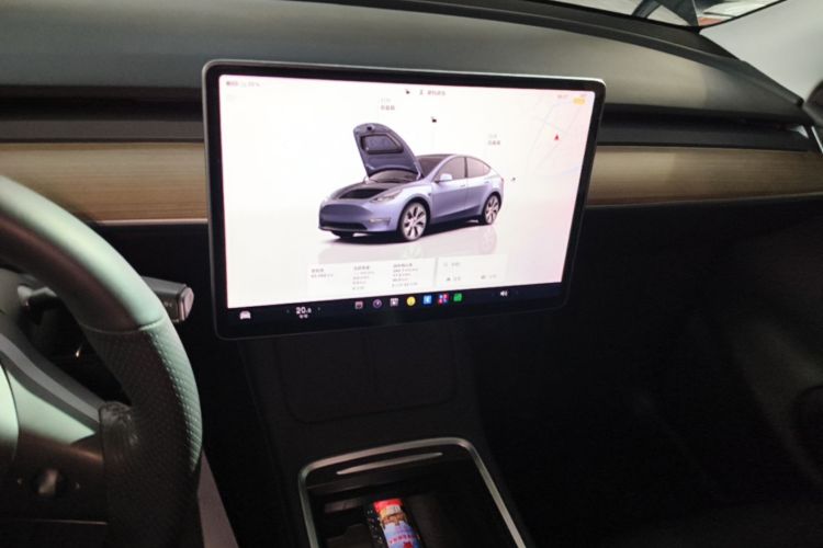 Tesla Model Y 2022 immagine di auto #13