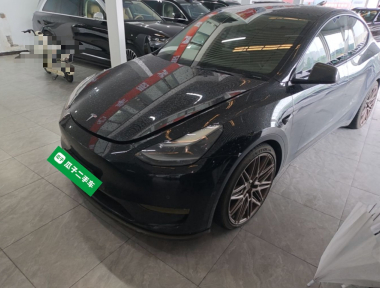 Tesla Model Y 2022 Tesla Model Y 2022 car image