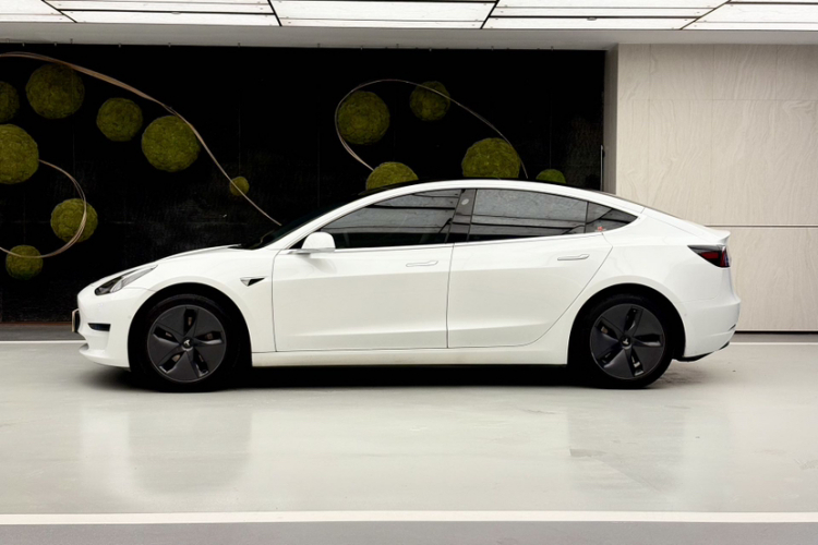 Tesla Model 3 2020 car image #7
