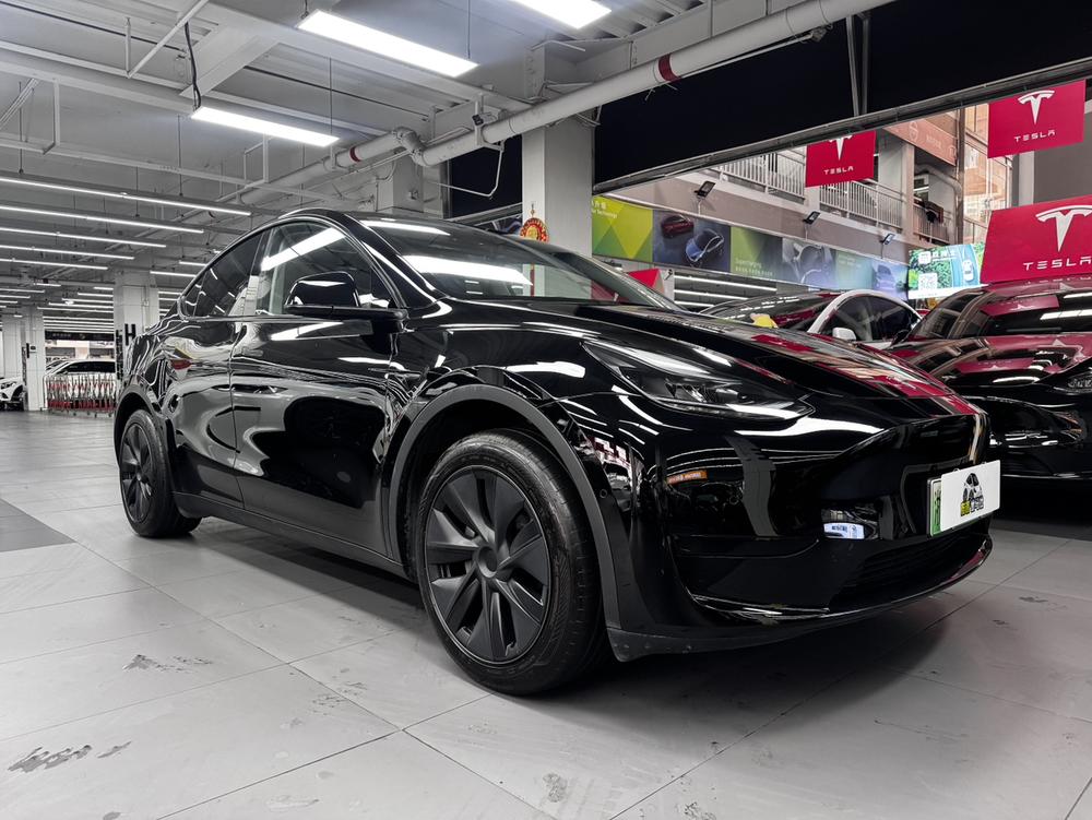 Tesla Model Y 2023 #6 Tesla Model Y 2023 car image #6