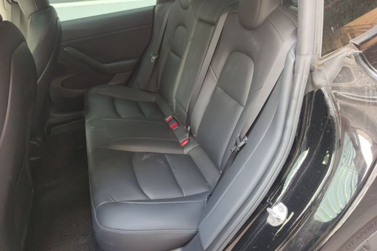 Tesla Model 3 2021 car image #13