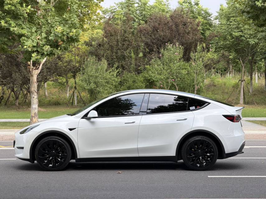 Tesla Model Y 2024 car image #10