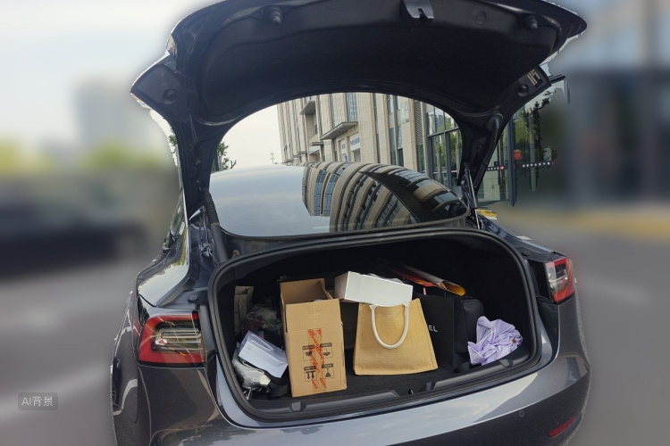 Tesla Model 3 2023 car image #21