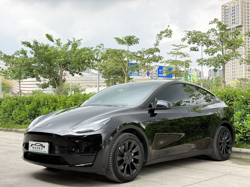 Tesla Model Y 2022 car image 