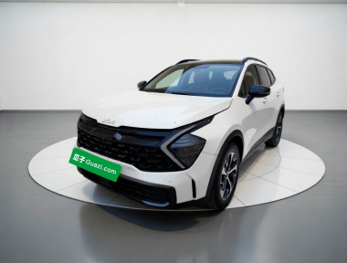 Kia Sportage 2024 car image 