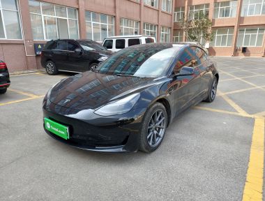 Tesla Model 3 2021 car image 