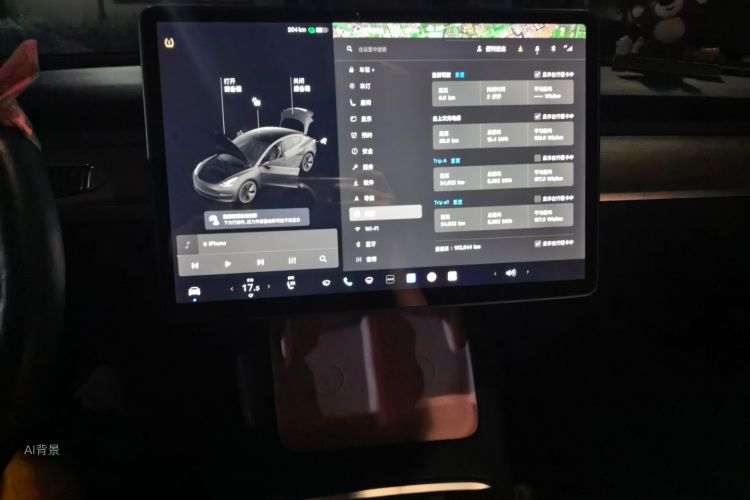Tesla Model 3 2021 immagine di auto #15
