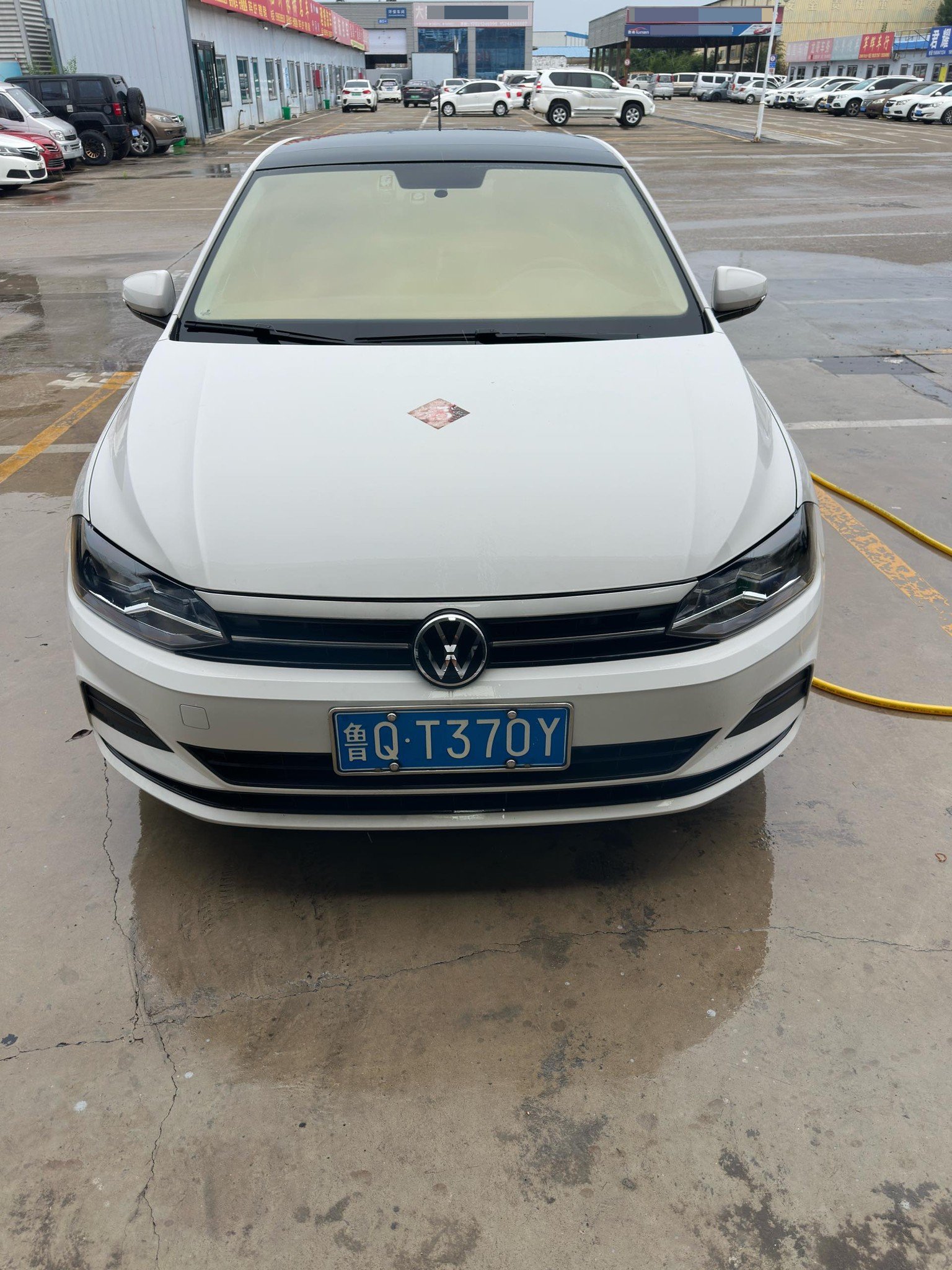 Volkswagen Polo 2021 #5 Volkswagen Polo 2021 immagine di auto #5