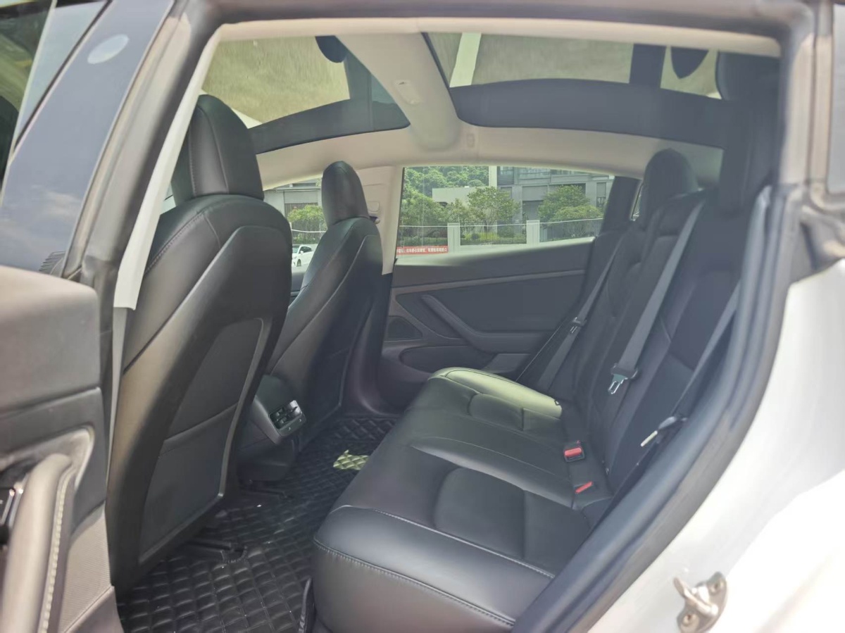 Tesla Model 3 2020 car image #6