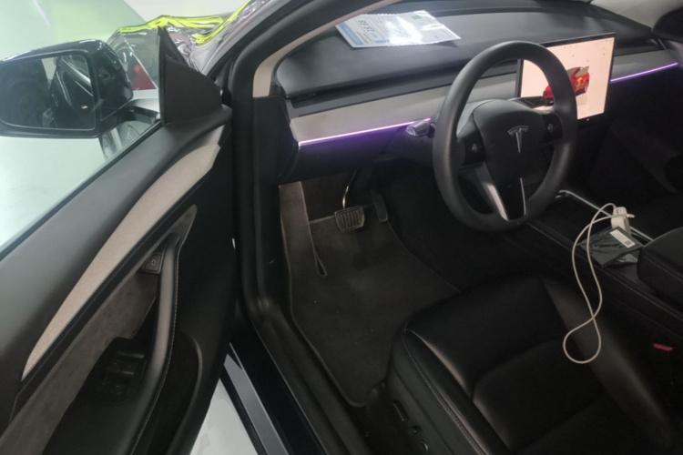 Tesla Model Y 2024 car image #16