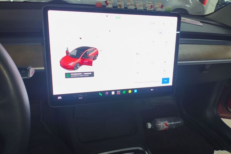 Tesla Model 3 2021 car image #13