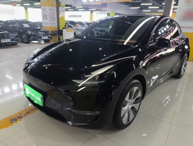 Tesla Model Y 2021 car image 