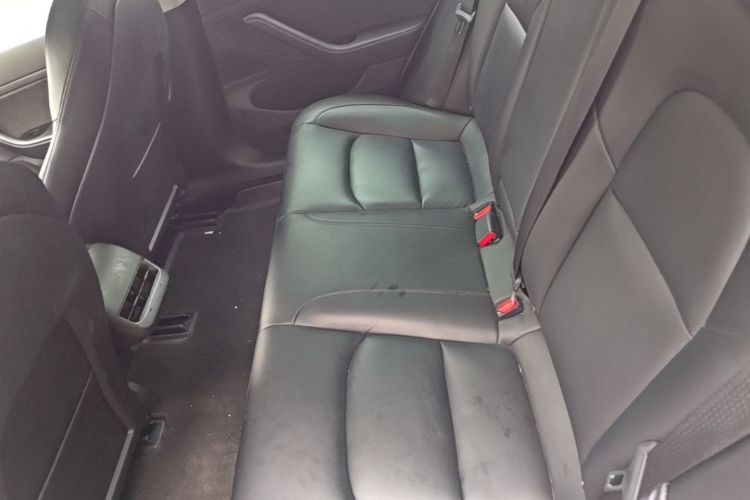 Tesla Model 3 2020 #17 Tesla Model 3 2020 car image #17