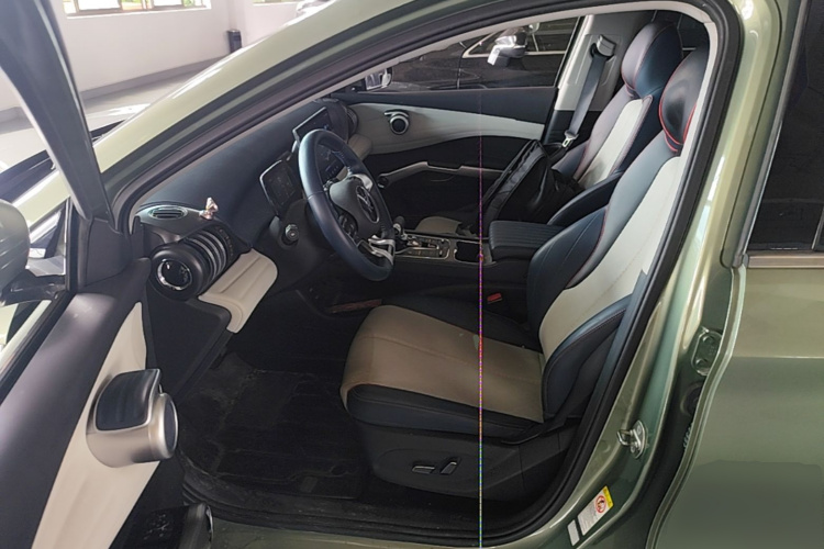 BYD Yuan Plus 2023 car image #16
