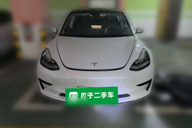 Tesla Model 3 2020 imagem de carro #3