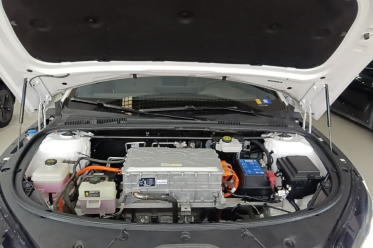 BYD Han 2022 immagine di auto #20