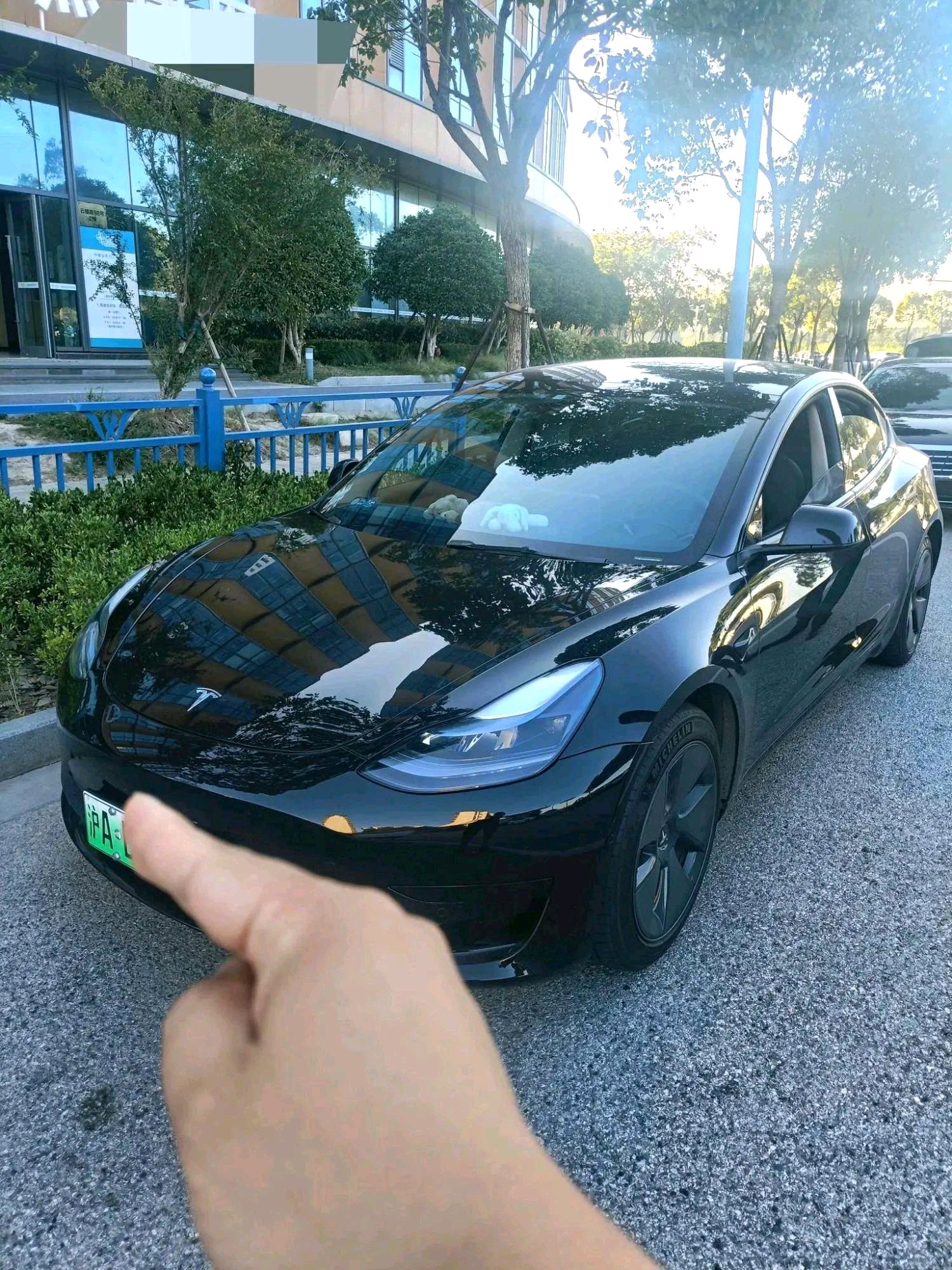 Tesla Model 3 2022 Tesla Model 3 2022 car image