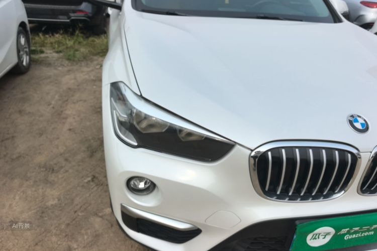 BMW X1 2019 car image #8