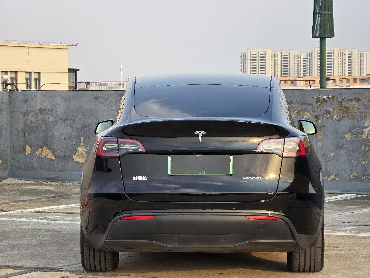 Tesla Model Y 2021 car image #8