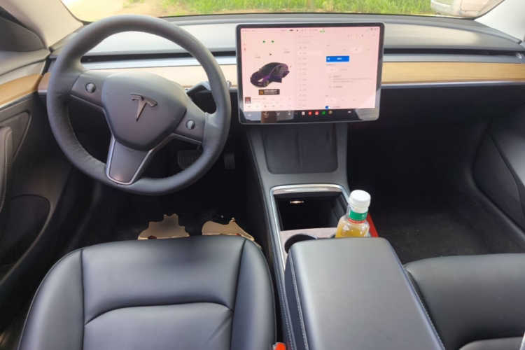 Tesla Model 3 2021 car image #10
