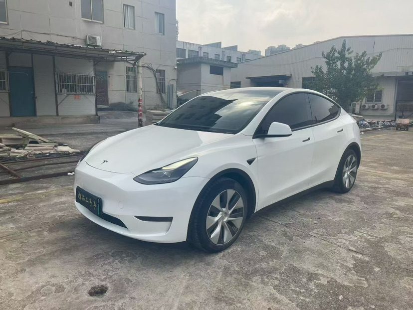Tesla Model Y 2021 Tesla Model Y 2021 car image