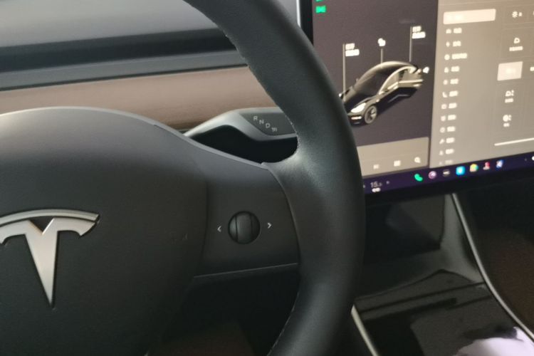 Tesla Model 3 2020 car image #14