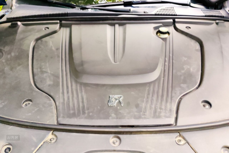 BYD Han 2022 immagine di auto #22