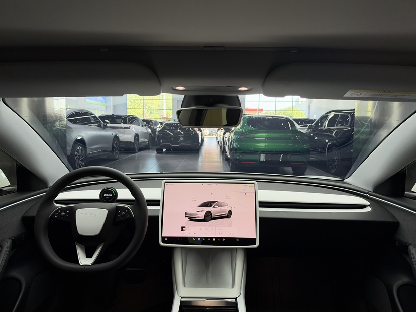 Tesla Model 3 2024 immagine di auto #5