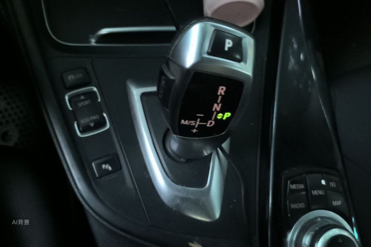 BMW 3 Series 2016 car image #16