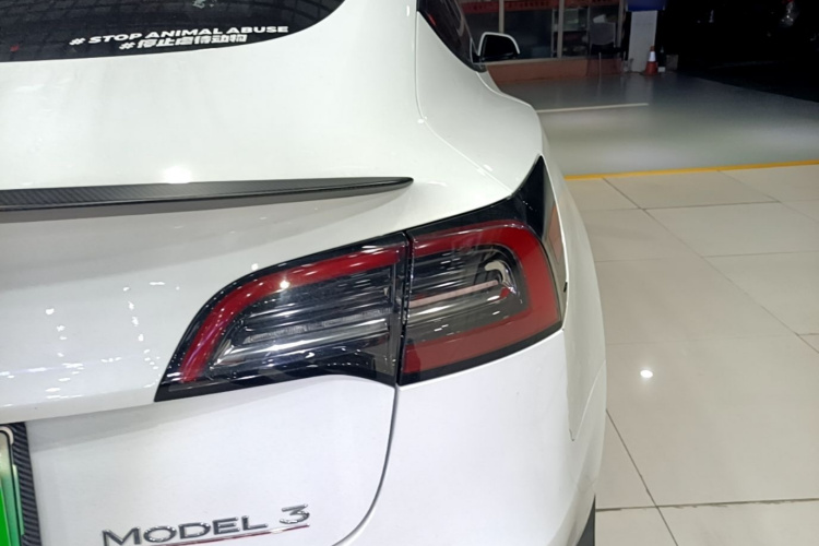 Tesla Model 3 2023 #8 Tesla Model 3 2023 image de voiture #8