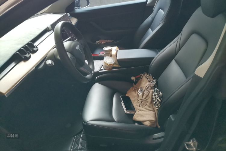 Tesla Model 3 2020 car image #17