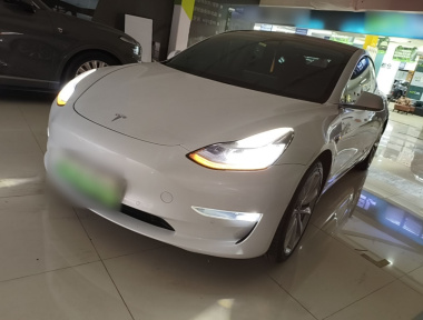 Tesla Model 3 2020 car image 