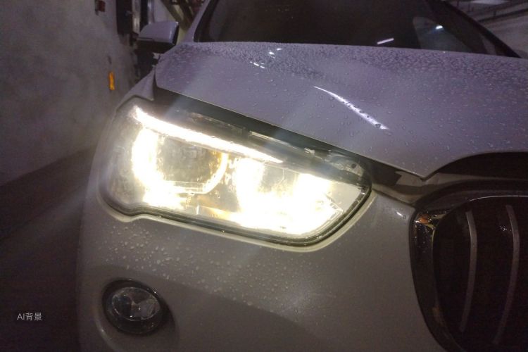 BMW X1 2017 car image #8