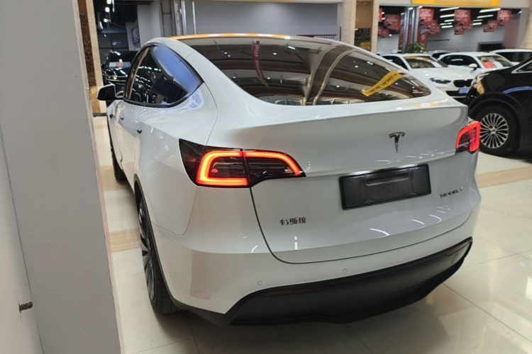 Tesla Model Y 2023 car image #5