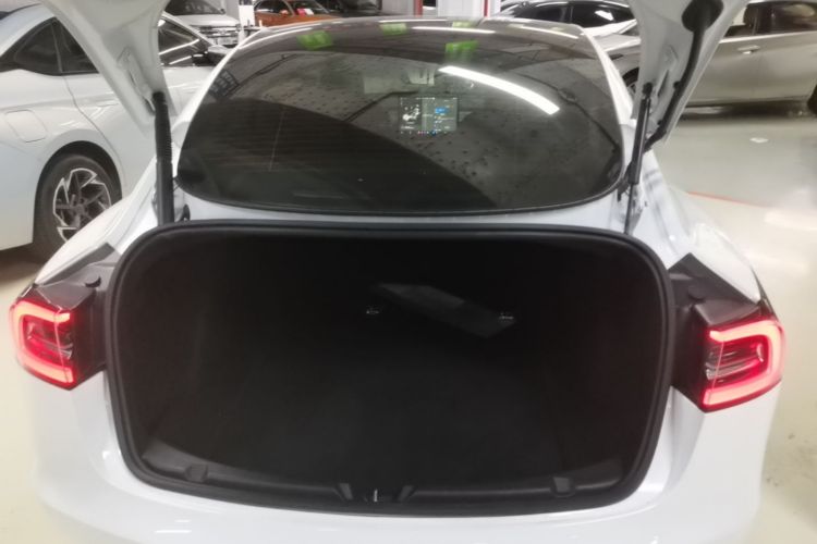 Tesla Model 3 2021 car image #19