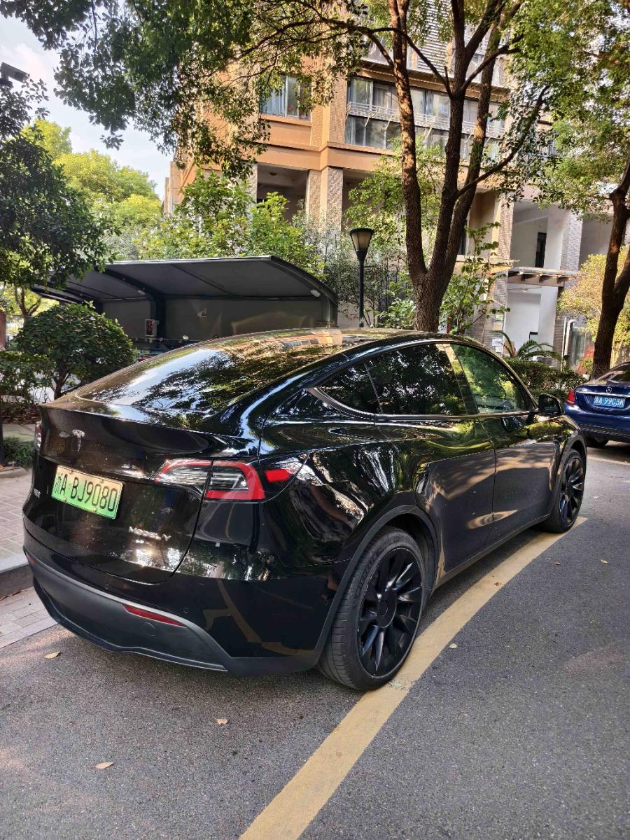Tesla Model Y 2023 car image #3