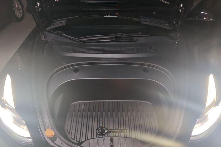 Tesla Model 3 2021 car image #20