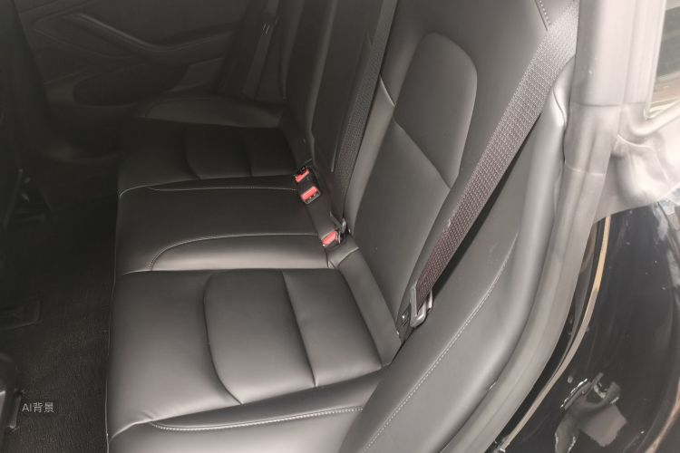 Tesla Model 3 2020 car image #19