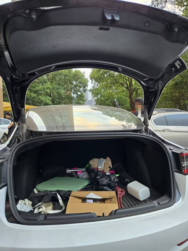 Tesla Model 3 2023 #5 Tesla Model 3 2023 car image #5